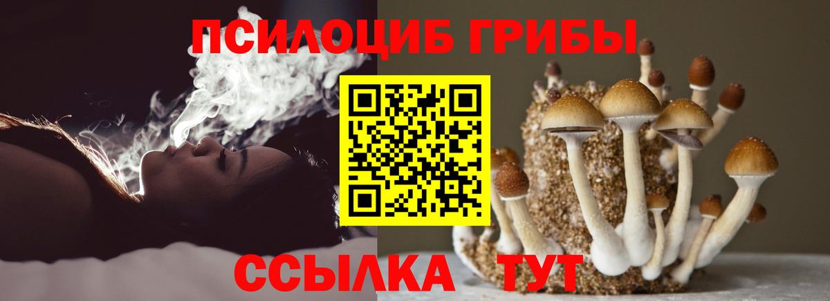 Галлюциногенные грибы прущие грибы Южно-Сахалинск