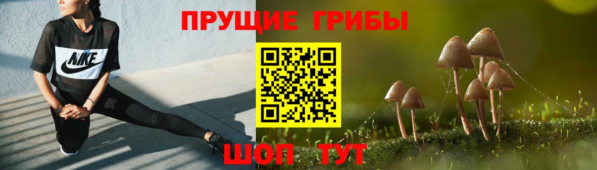 цены   Вход с VPN  Южно-Сахалинск  Галлюциногенные грибы Cubensis 